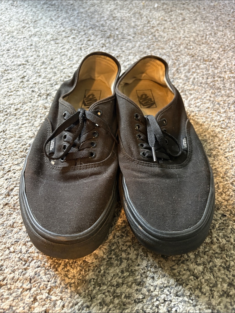 Vans Black Low-Top Canvas Sneakers